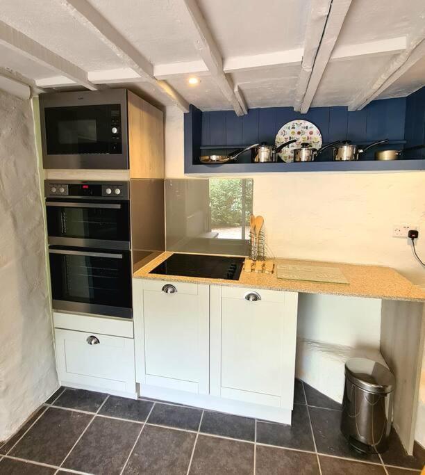 Mill Cottage Garden Annexe Newton Abbot Eksteriør billede