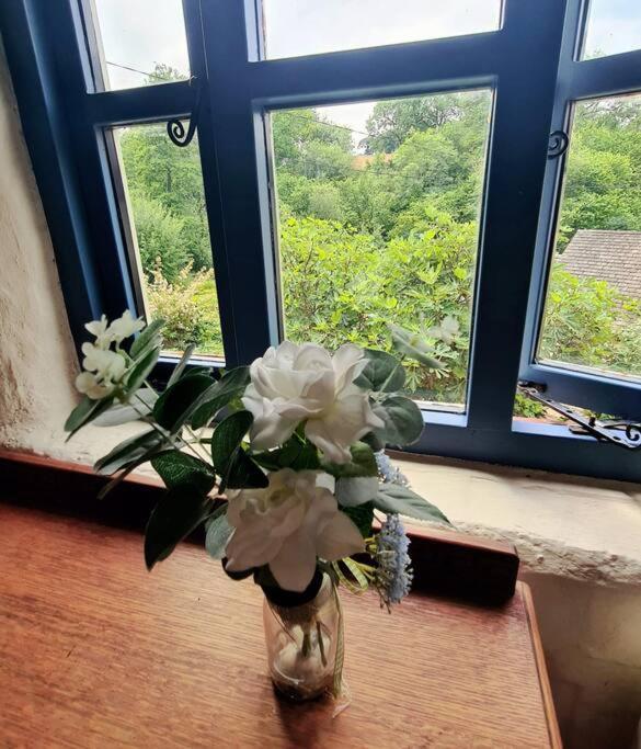 Mill Cottage Garden Annexe Newton Abbot Eksteriør billede