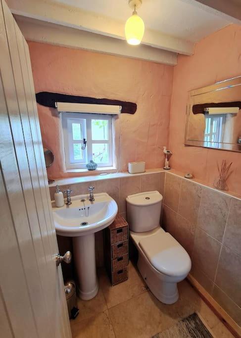 Mill Cottage Garden Annexe Newton Abbot Eksteriør billede